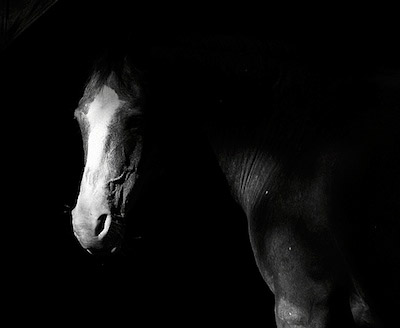 Light_Example_14